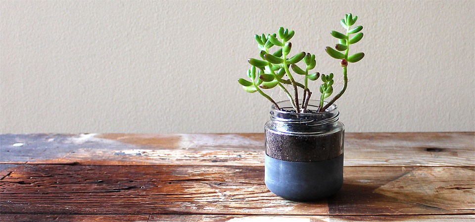 Chalkboard Jelly Bean Arrangement