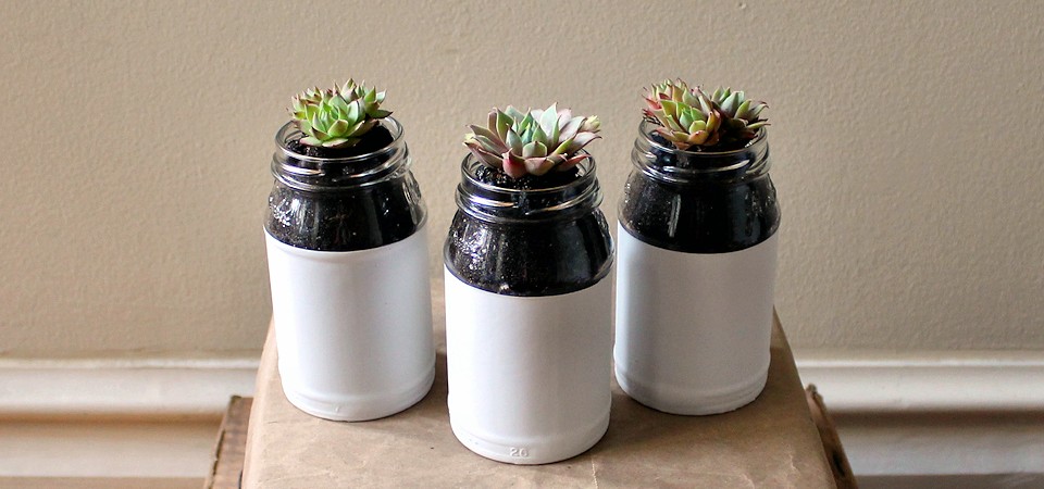 Pink and Green Hens and Chicks in Hand-Dipped Jars