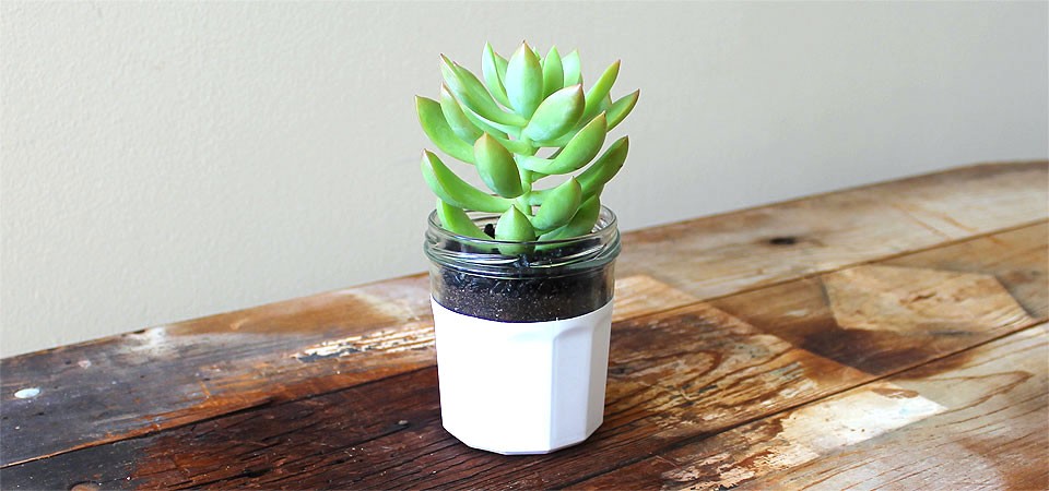 Hand Dipped Jar with High-Rise Succulent