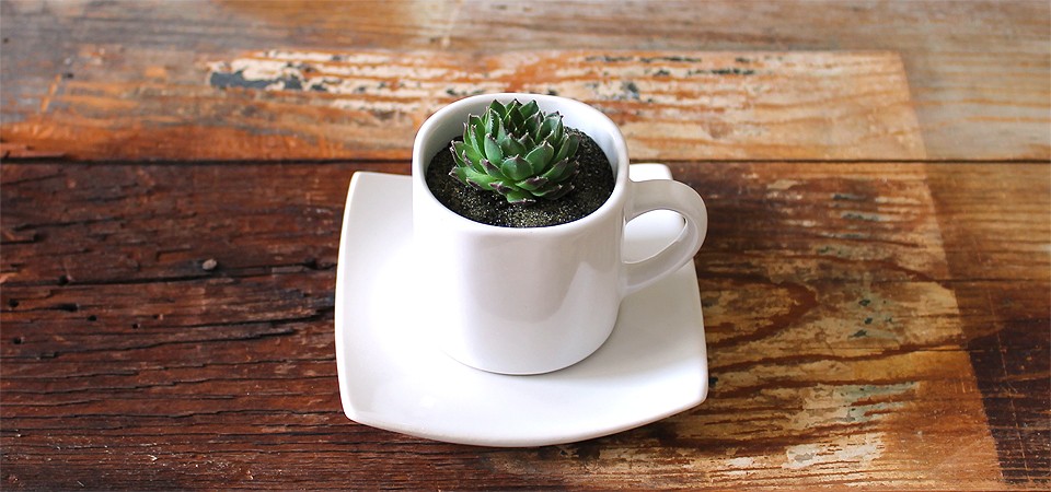 Espresso Set