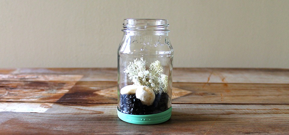 Green Carefree Terrarium