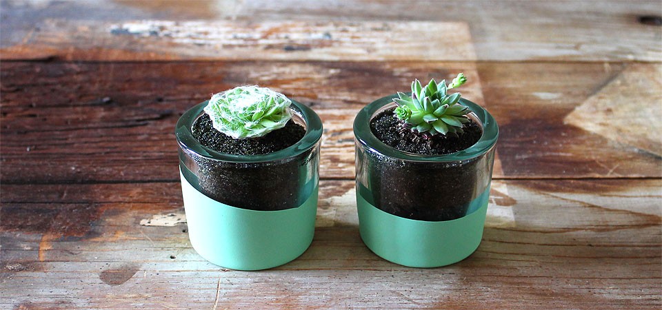 Hand-Dipped Green Succulent Round