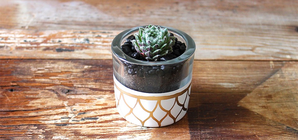 Small Golden Scales Planter