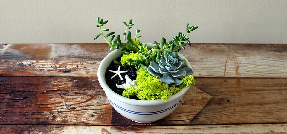 Vintage Beach Arrangement