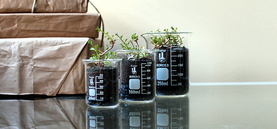 Glass Beaker Set