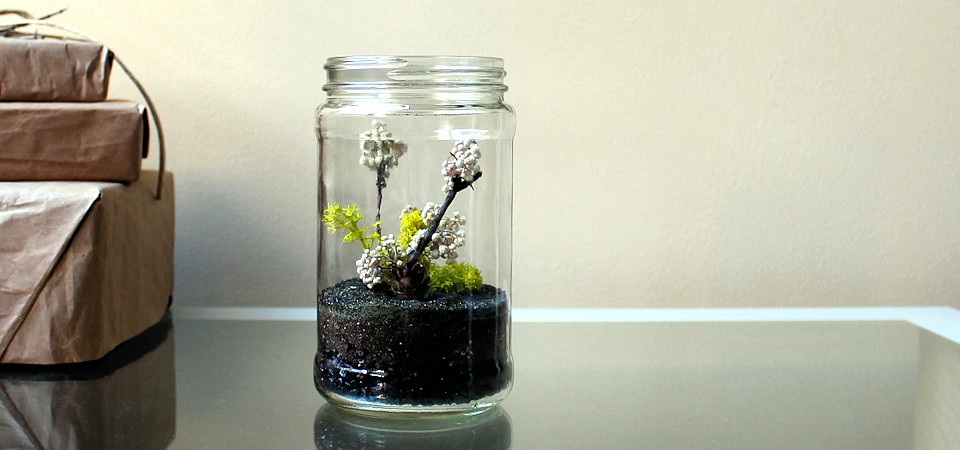 Carefree Rice Flower Terrarium