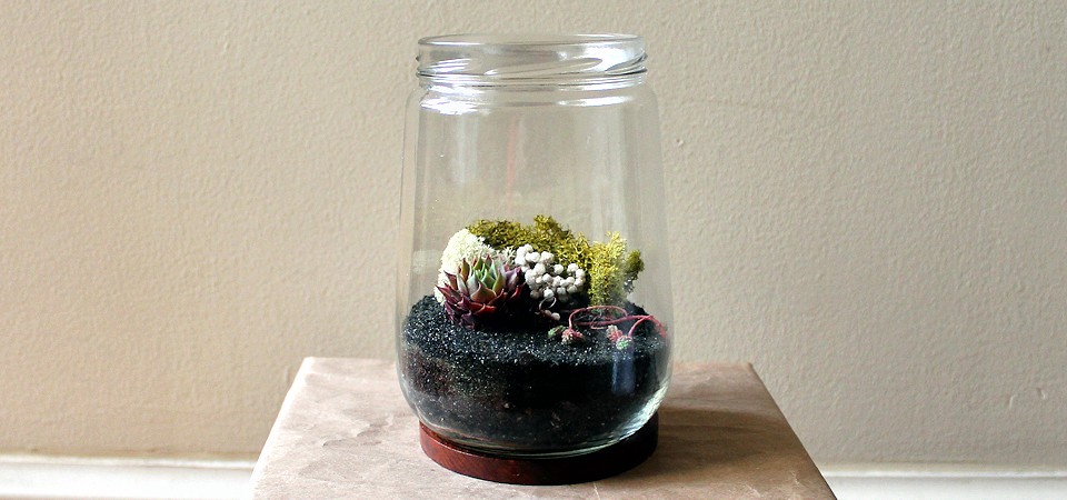 Pink and Green Succulents in Vintage Loop Jar Terrarium