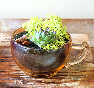 Amber-Glass Teacup