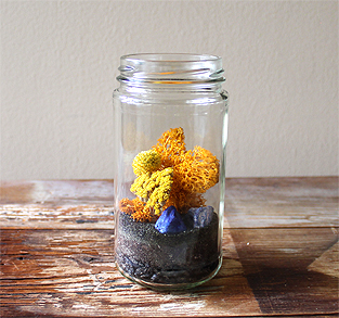 Carefree Southwestern Terrarium
